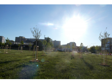Zahradníci začali na Masarykově náměstí u bývalého AFI tvořit nový park, původně izraelská firma slibovala hotel